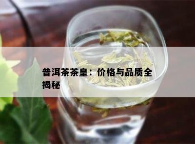 普洱茶茶皇：价格与品质全揭秘