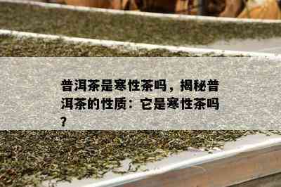 普洱茶是寒性茶吗，揭秘普洱茶的性质：它是寒性茶吗？