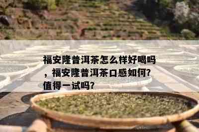 福安隆普洱茶怎么样好喝吗，福安隆普洱茶口感怎样？值得一试吗？