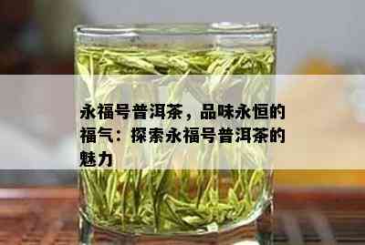 永福号普洱茶，品味永恒的福气：探索永福号普洱茶的魅力