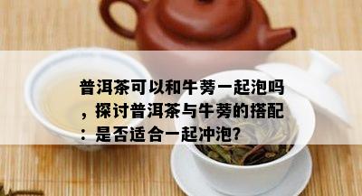 普洱茶可以和牛蒡一起泡吗，探讨普洱茶与牛蒡的搭配：是不是适合一起冲泡？