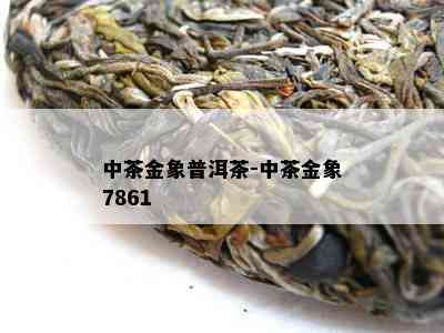 中茶金象普洱茶-中茶金象7861