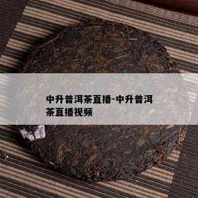 中升普洱茶直播-中升普洱茶直播视频