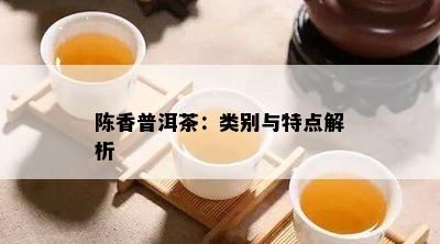 陈香普洱茶：类别与特点解析