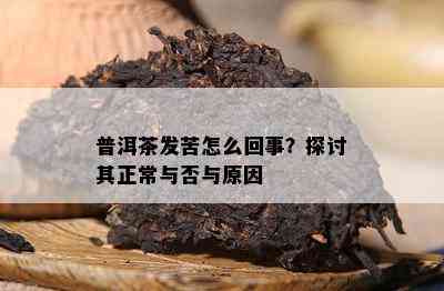 普洱茶发苦怎么回事？探讨其正常与否与起因