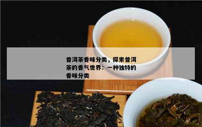 普洱茶香味分类，探索普洱茶的香气世界：一种特别的香味分类