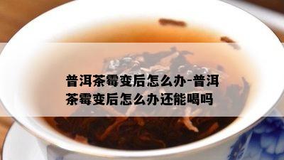 普洱茶霉变后怎么办-普洱茶霉变后怎么办还能喝吗