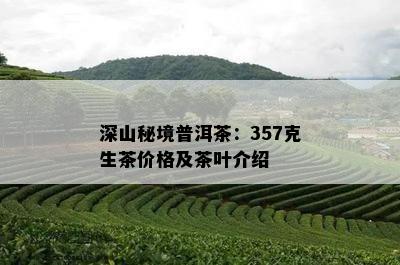 深山秘境普洱茶：357克生茶价格及茶叶介绍