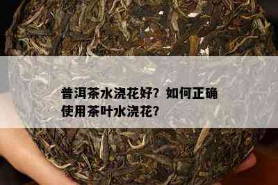 普洱茶水浇花好？怎样正确采用茶叶水浇花？