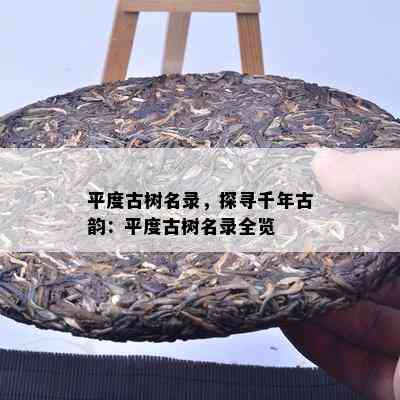 平度古树名录，探寻千年古韵：平度古树名录全览