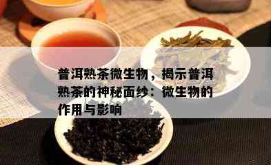 普洱熟茶微生物，揭示普洱熟茶的神秘面纱：微生物的作用与作用