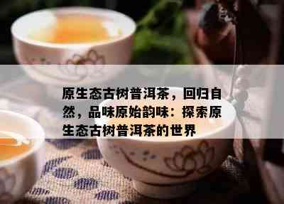 原生态古树普洱茶，回归自然，品味原始韵味：探索原生态古树普洱茶的世界