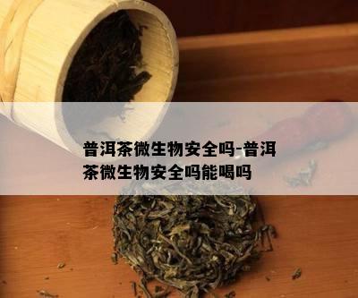 普洱茶微生物安全吗-普洱茶微生物安全吗能喝吗