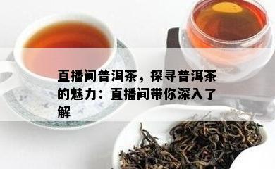 直播间普洱茶，探寻普洱茶的魅力：直播间带你深入熟悉