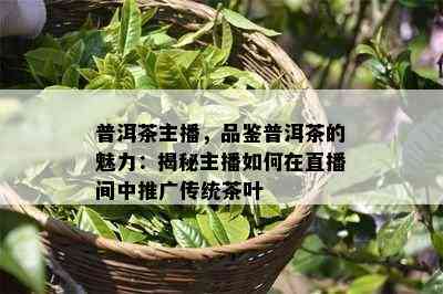 普洱茶主播，品鉴普洱茶的魅力：揭秘主播如何在直播间中推广传统茶叶