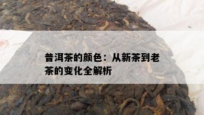 普洱茶的颜色：从新茶到老茶的变化全解析