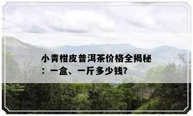 小青柑皮普洱茶价格全揭秘：一盒、一斤多少钱？