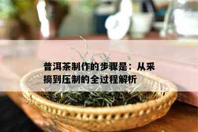 普洱茶制作的步骤是：从采摘到压制的全过程解析