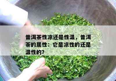 普洱茶性凉还是性温，普洱茶的属性：它是凉性的还是温性的？