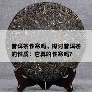 普洱茶性寒吗，探讨普洱茶的性质：它真的性寒吗？