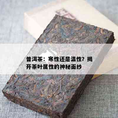 普洱茶：寒性还是温性？揭开茶叶属性的神秘面纱