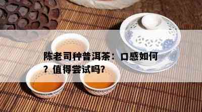 陈老司种普洱茶：口感如何？值得尝试吗？