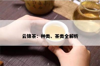 云锦茶：种类、茶类全解析