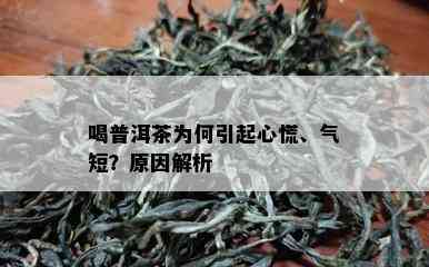 喝普洱茶为何引起心慌、气短？起因解析