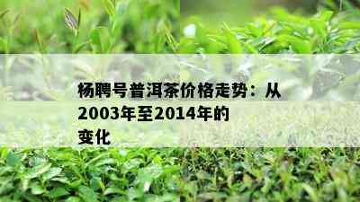 杨聘号普洱茶价格走势：从2003年至2014年的变化