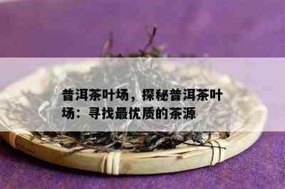 普洱茶叶场，探秘普洱茶叶场：寻找更优质的茶源