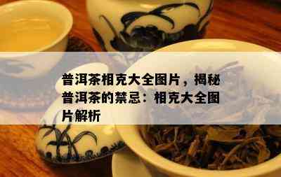 普洱茶相克大全图片，揭秘普洱茶的禁忌：相克大全图片解析