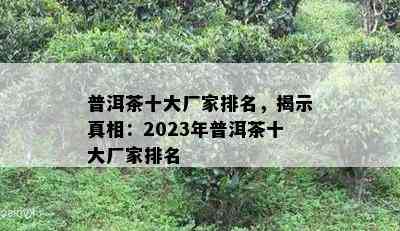 普洱茶十大厂家排名，揭示真相：2023年普洱茶十大厂家排名