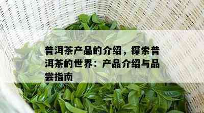 普洱茶产品的介绍，探索普洱茶的世界：产品介绍与品尝指南