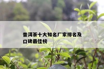 普洱茶十大知名厂家排名及口碑更佳榜