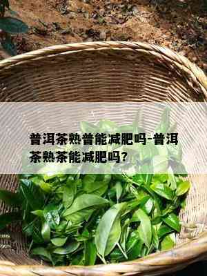 普洱茶熟普能减肥吗-普洱茶熟茶能减肥吗?