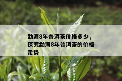 勐海8年普洱茶价格多少，探究勐海8年普洱茶的价格走势