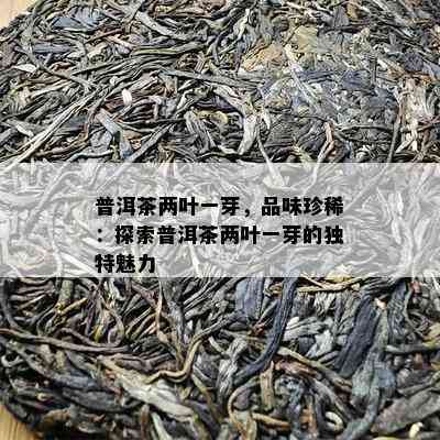 普洱茶两叶一芽，品味珍稀：探索普洱茶两叶一芽的独特魅力