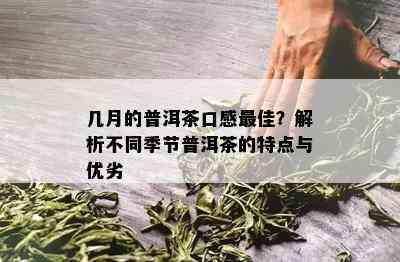 几月的普洱茶口感更佳？解析不同季节普洱茶的特点与优劣