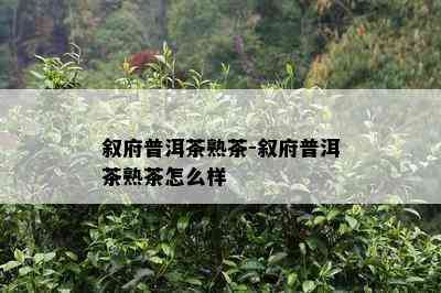 叙府普洱茶熟茶-叙府普洱茶熟茶怎么样