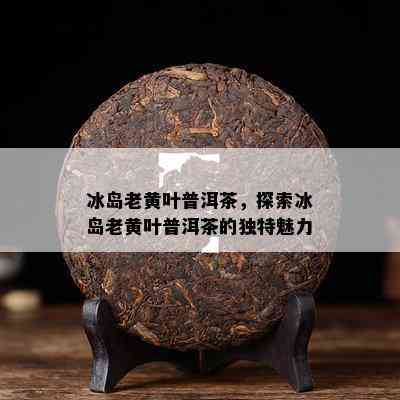 冰岛老黄叶普洱茶，探索冰岛老黄叶普洱茶的独特魅力