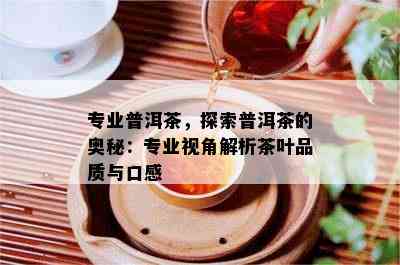 专业普洱茶，探索普洱茶的奥秘：专业视角解析茶叶品质与口感