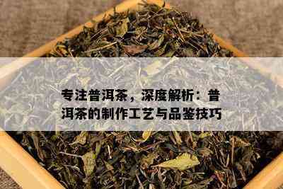 专注普洱茶，深度解析：普洱茶的制作工艺与品鉴技巧