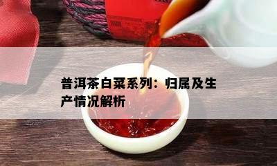 普洱茶白菜系列：归属及生产情况解析