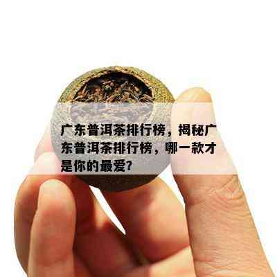 广东普洱茶排行榜，揭秘广东普洱茶排行榜，哪一款才是你的更爱？