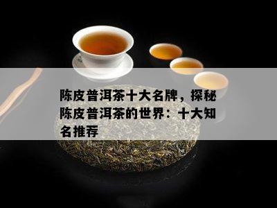 陈皮普洱茶十大名牌，探秘陈皮普洱茶的世界：十大知名推荐