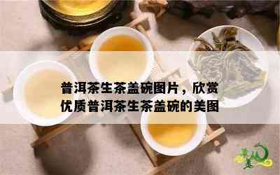 普洱茶生茶盖碗图片，欣赏优质普洱茶生茶盖碗的美图