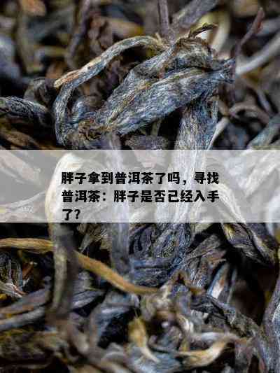 胖子拿到普洱茶了吗，寻找普洱茶：胖子是不是已经入手了？