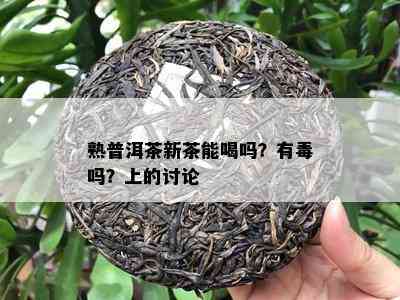 熟普洱茶新茶能喝吗？有吗？上的讨论