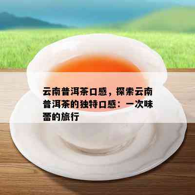 云南普洱茶口感，探索云南普洱茶的独特口感：一次味蕾的旅行