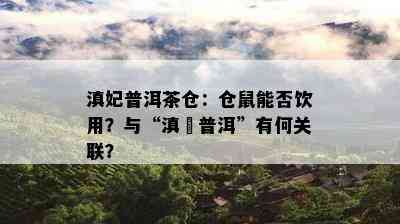 滇妃普洱茶仓：仓鼠能否饮用？与“滇垚普洱”有何关联？